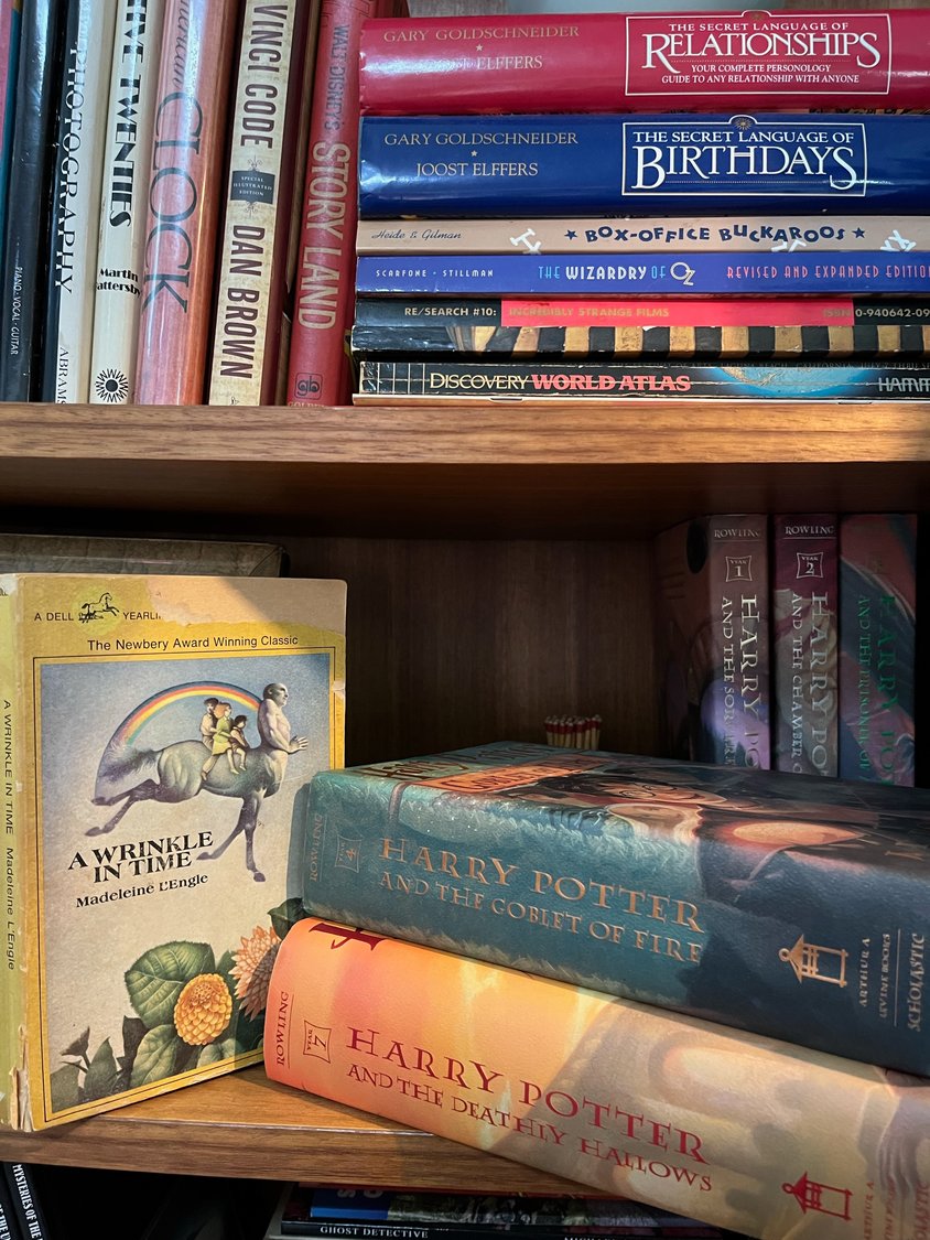 Books being banned across the country include Madeleine L'Engle's "A Wrinkle in Time" and the entire Harry Potter series, all of which can be found on my shelves at home.